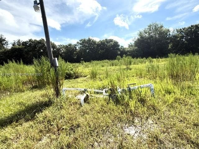 3003 Hicks Rd, Lorida FL 33857