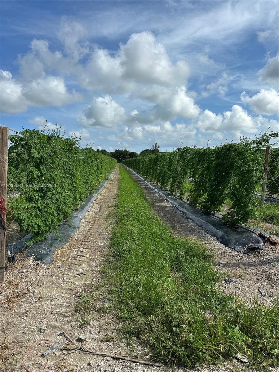 N 280, Homestead FL 33033