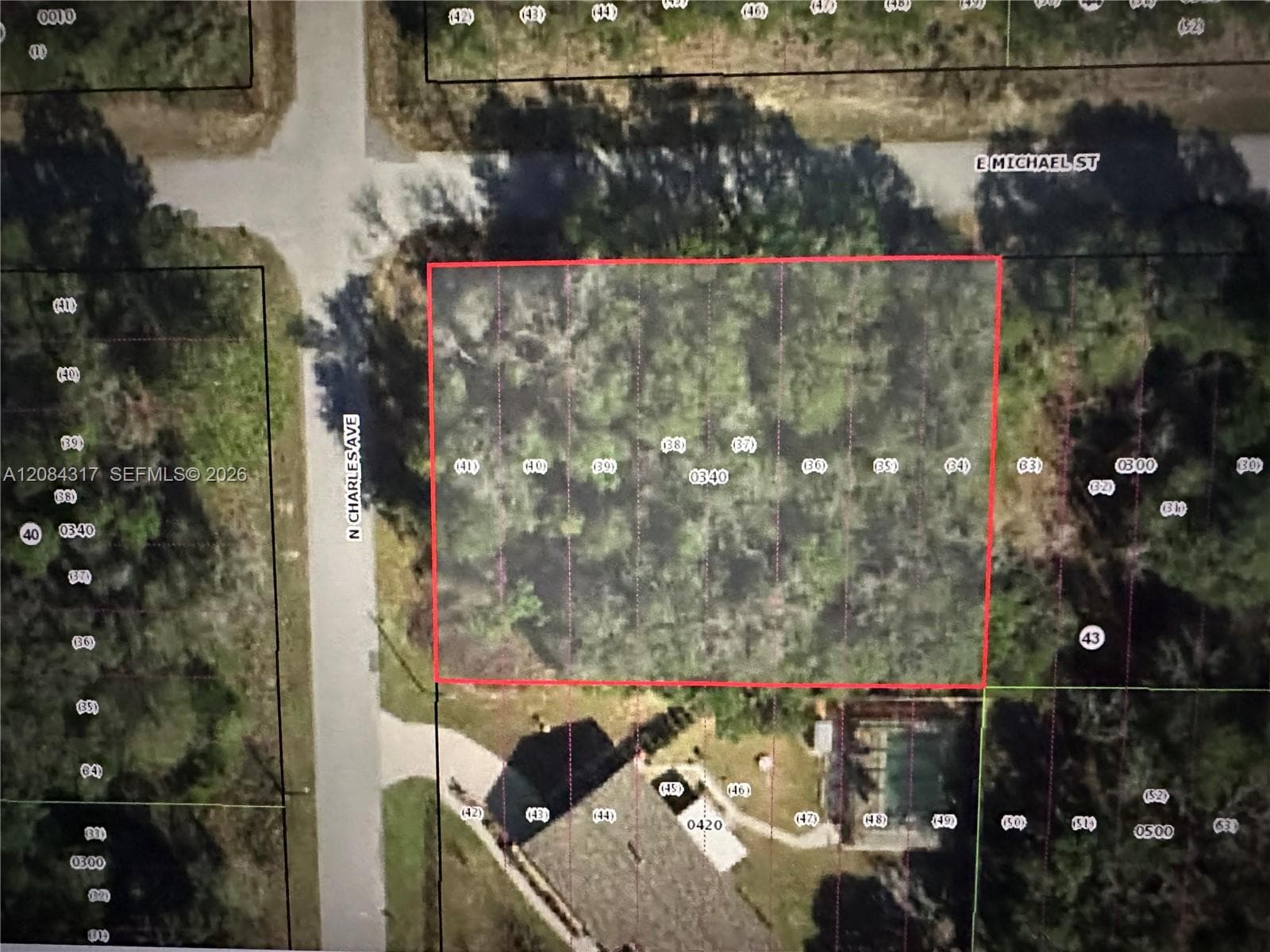 3026 E Michael St, Inverness FL 34453