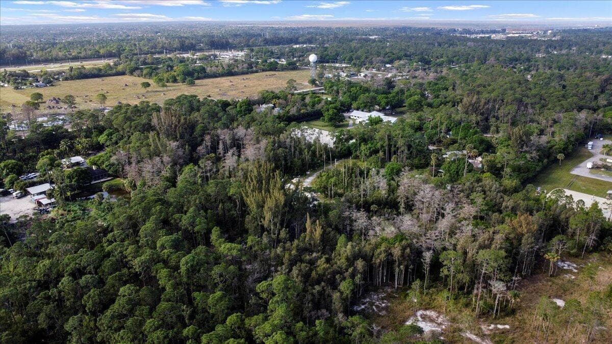 Aerial Neighborhood View