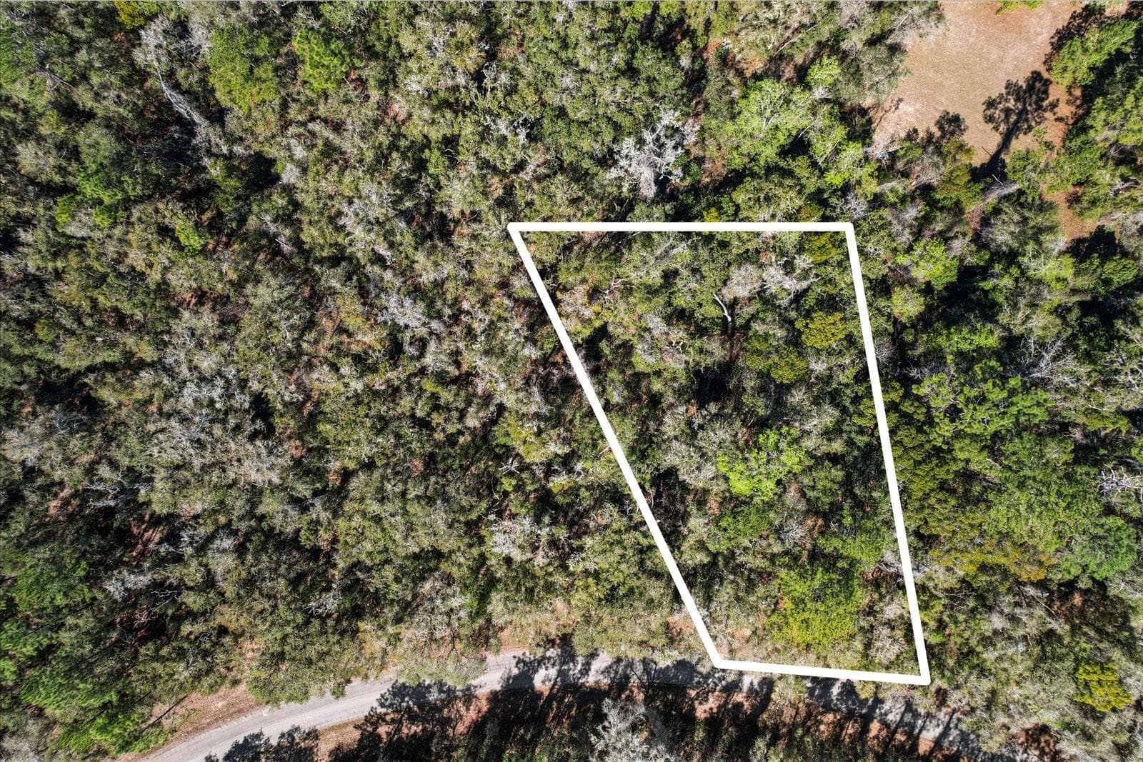 987 E ODIN Drive, FL 34434