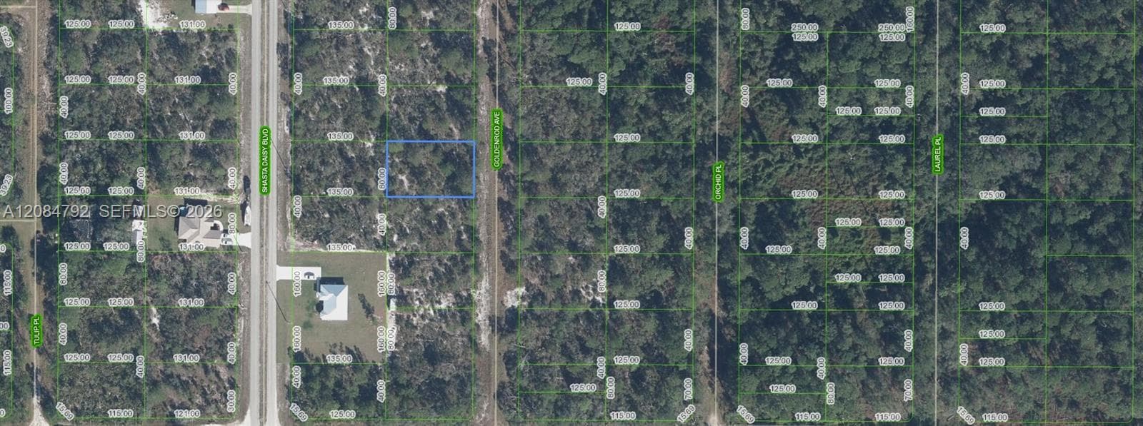 7019 Goldenrod Avenue, Sebring FL 33875