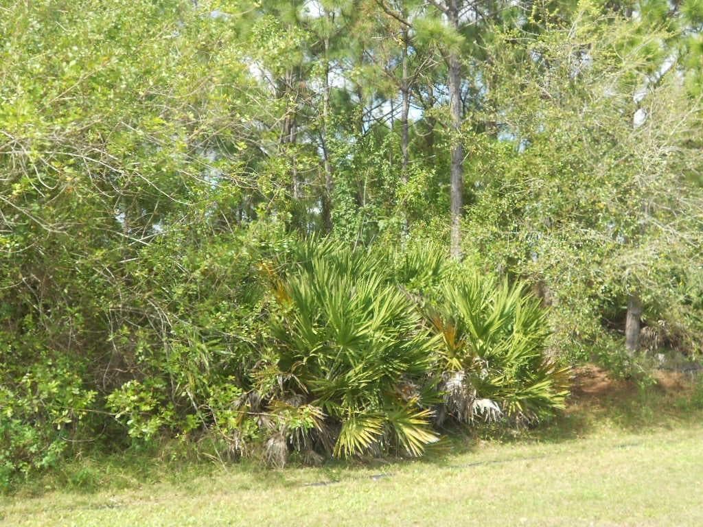 . SE Gilson Road, FL