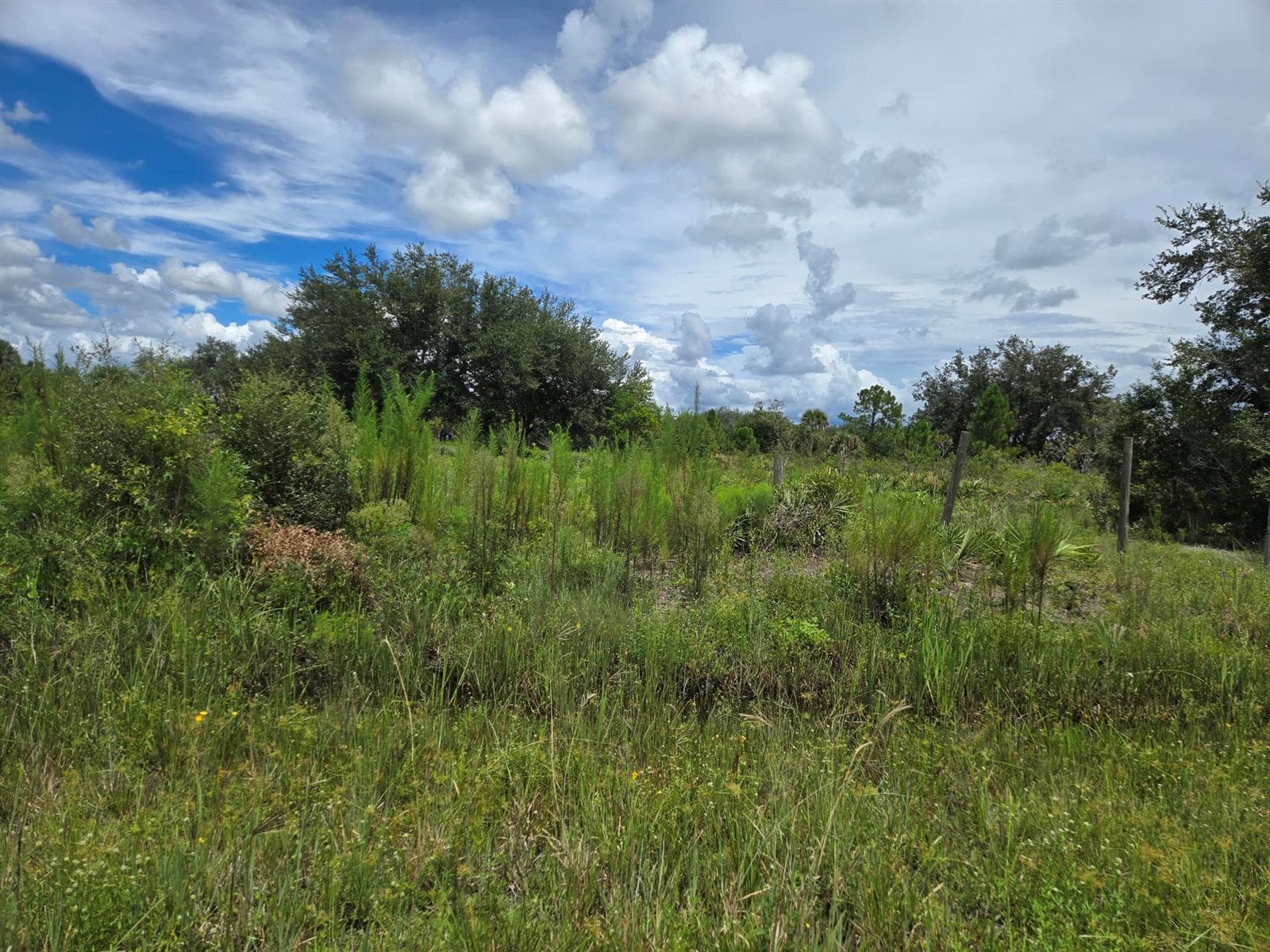 17707 NW 274th Street, Okeechobee FL 34972