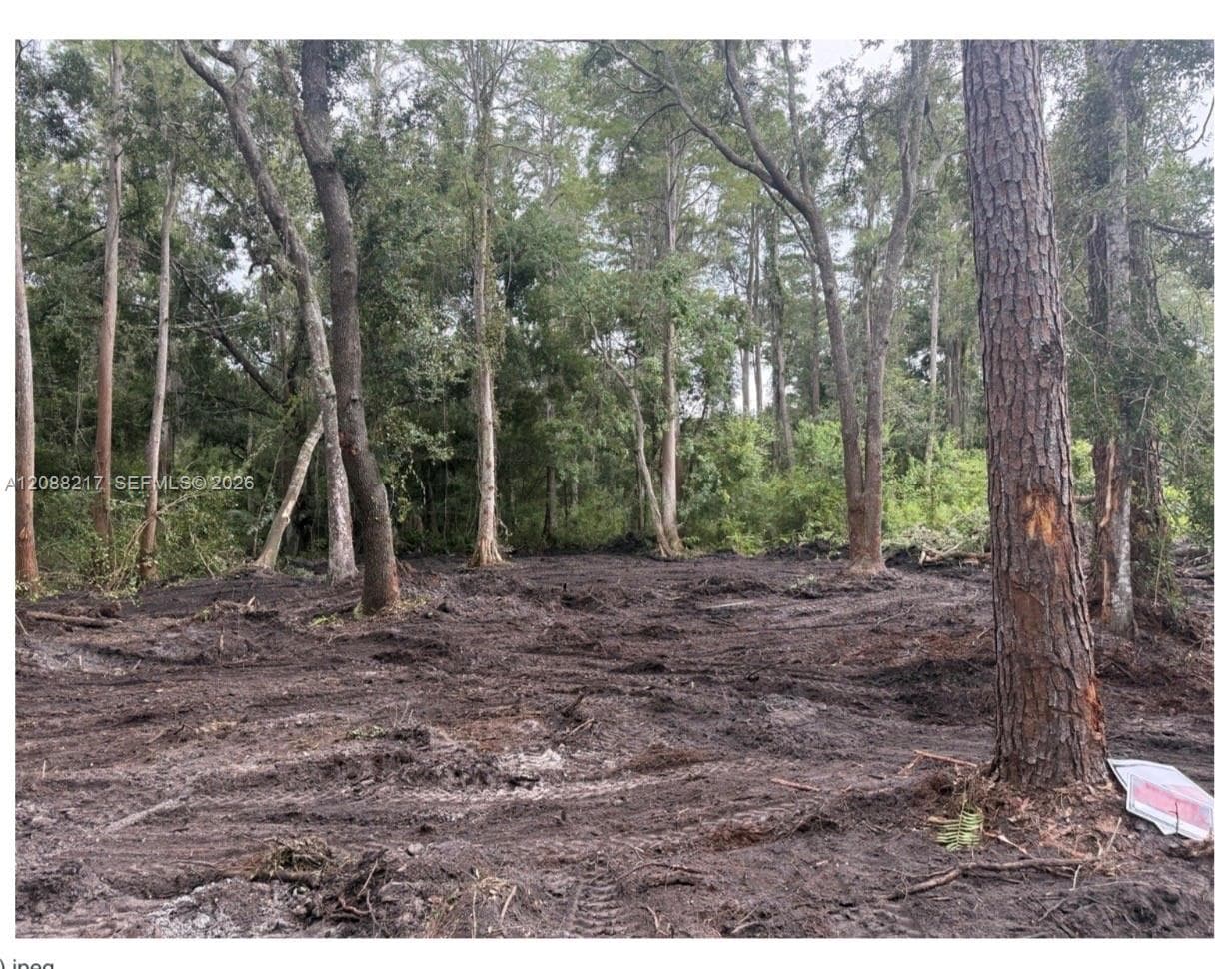 3 Anno Street, Other City - In The State Of Florida FL 33625