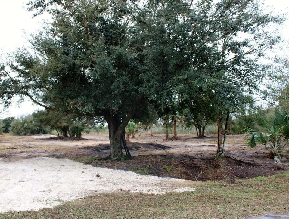 19576 NW 264TH Street, Okeechobee FL 34972