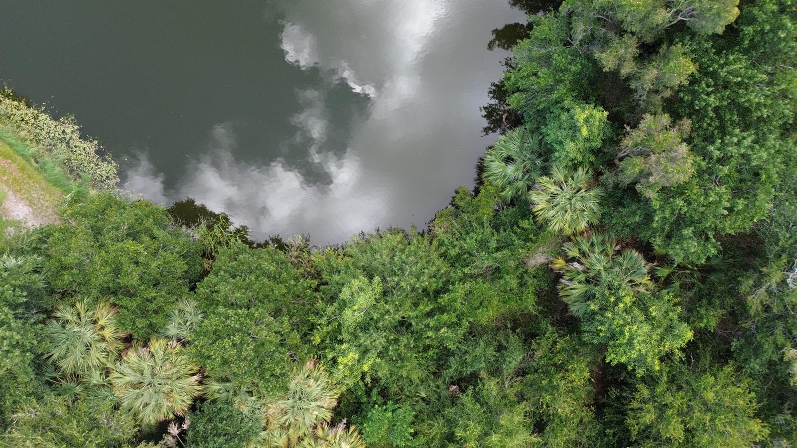 DJI_0024
