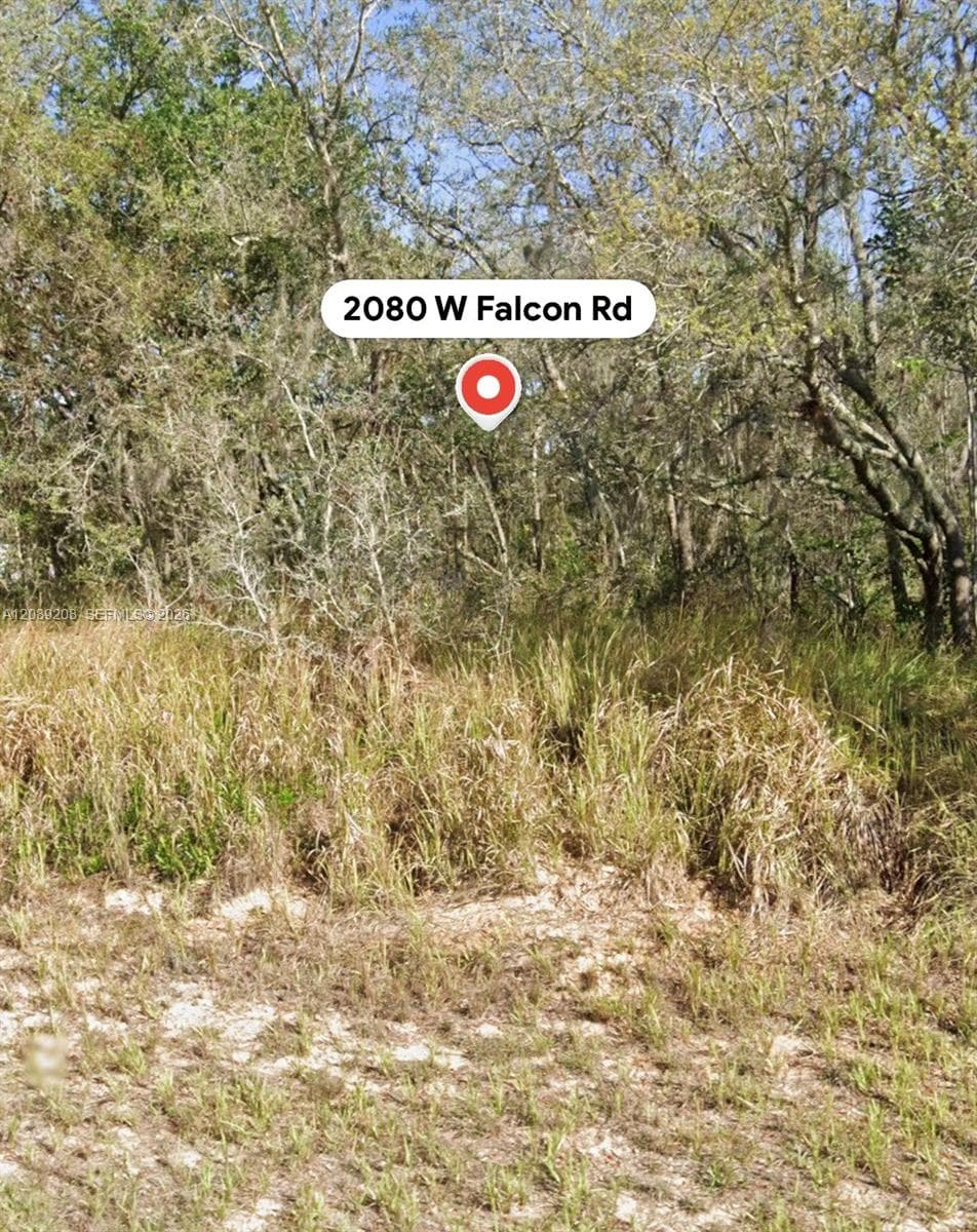2080 W Falcon Rd, Avon Park FL 33825