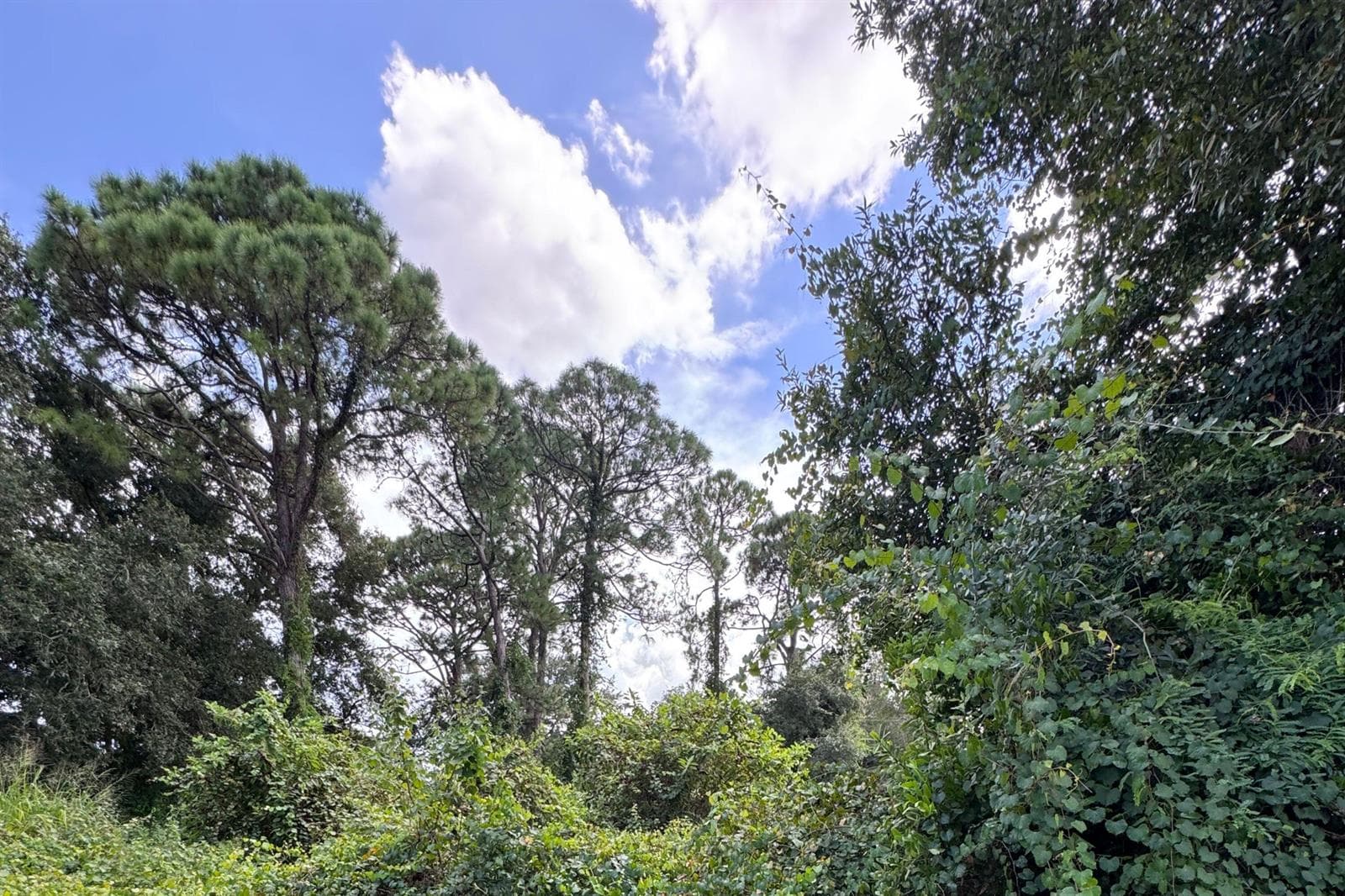 6801 Deland Avenue, Fort Pierce FL 34951