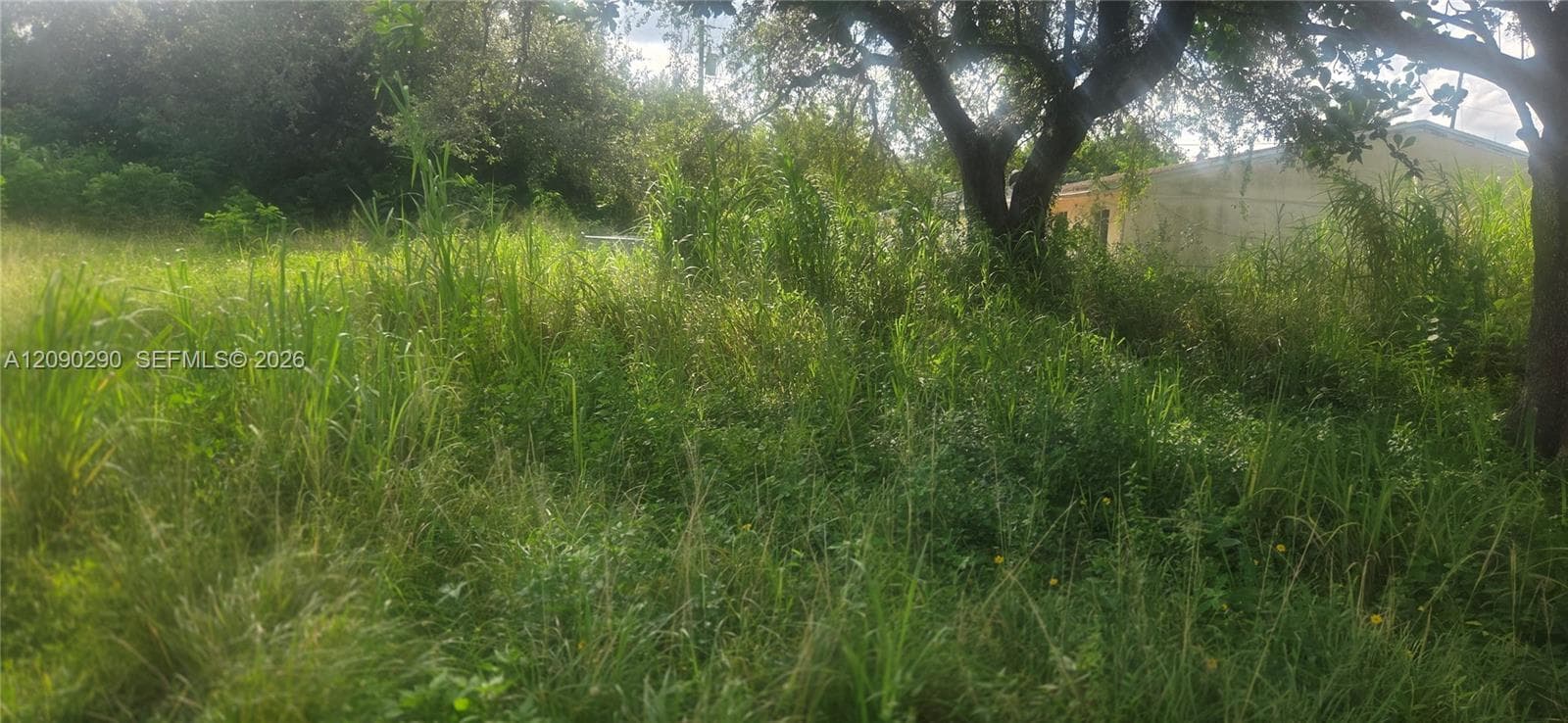 272 SW 143 Ct, Homestead FL 33032