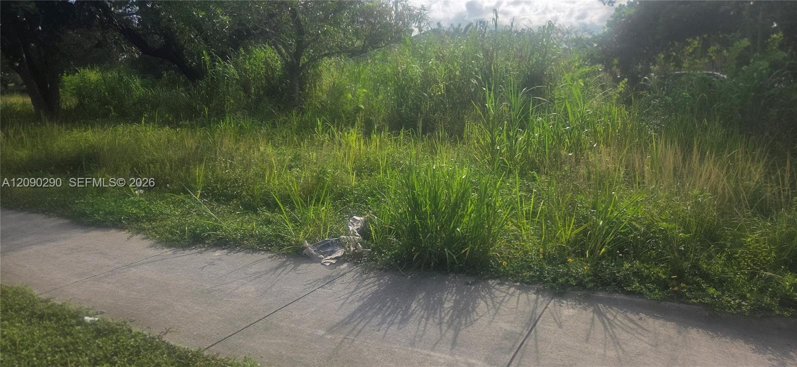 272 SW 143 Ct, Homestead FL 33032