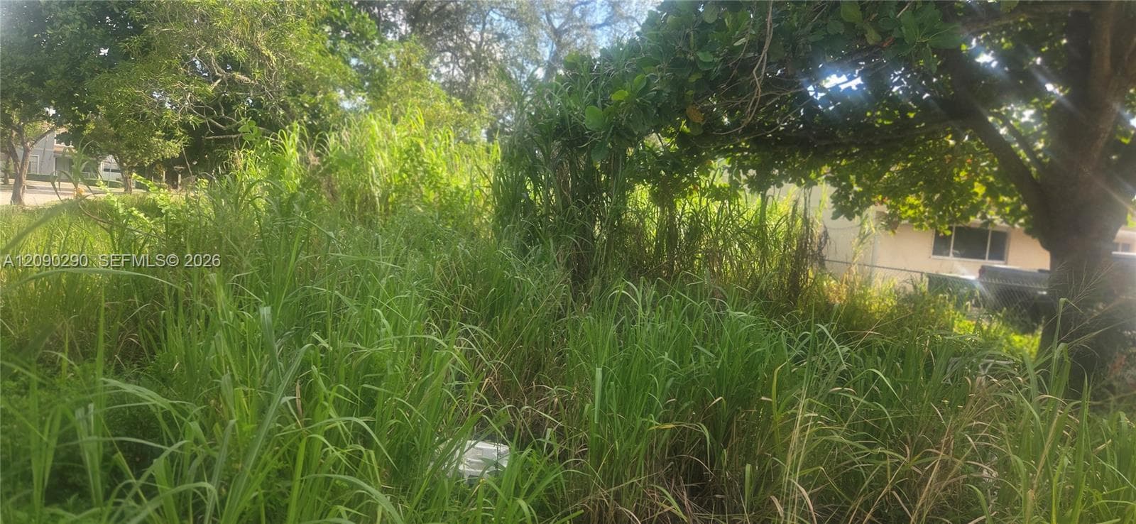 272 SW 143 Ct, Homestead FL 33032