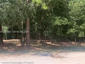 2326 W Barben Road, Avon Park FL 33825