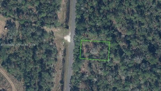 4238 Balboa Blvd, Sebring FL 33872
