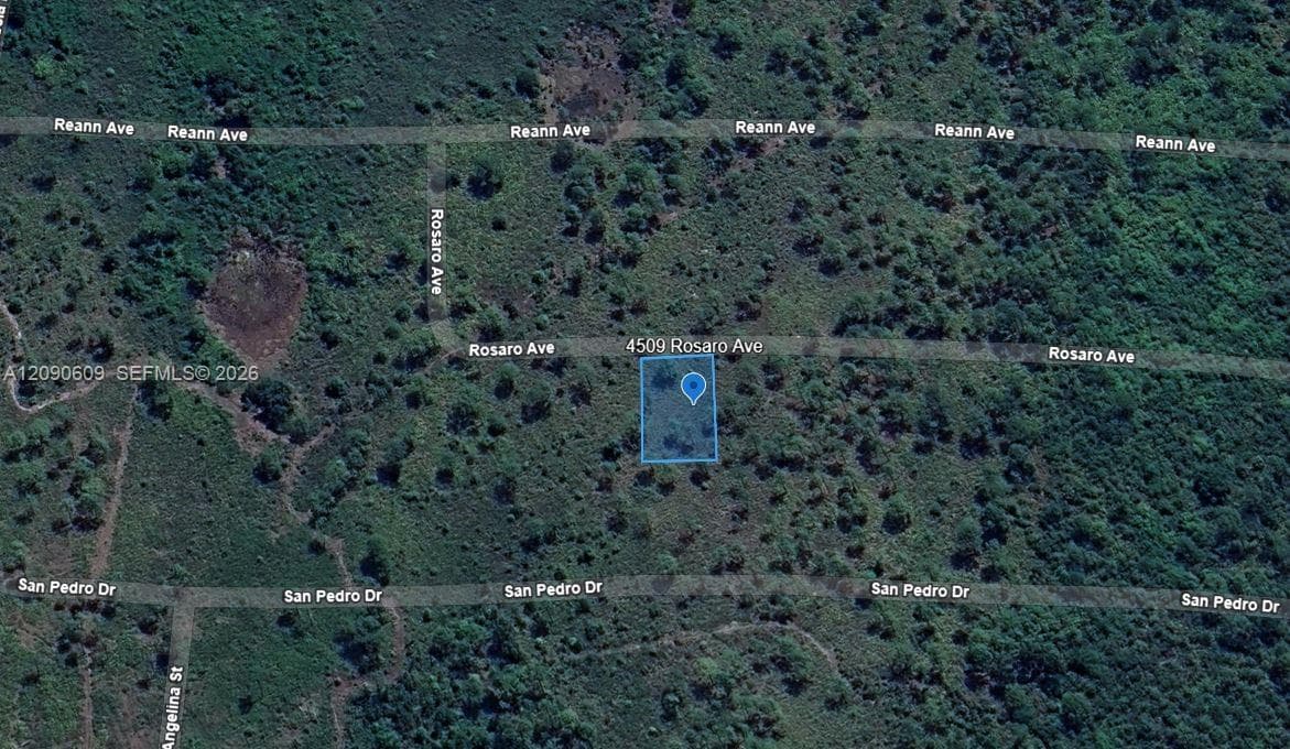 4509 Rosaro Ave, Sebring FL 33872