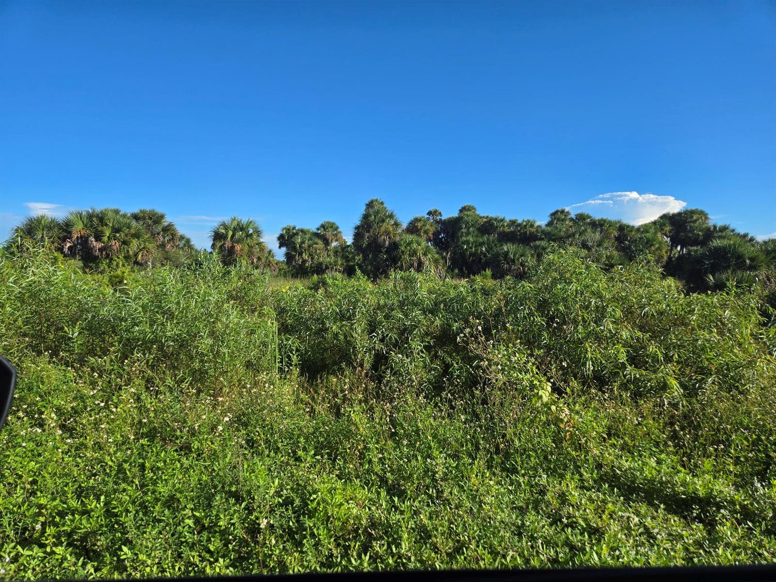 14614 NW 274th Street, Okeechobee FL 34972