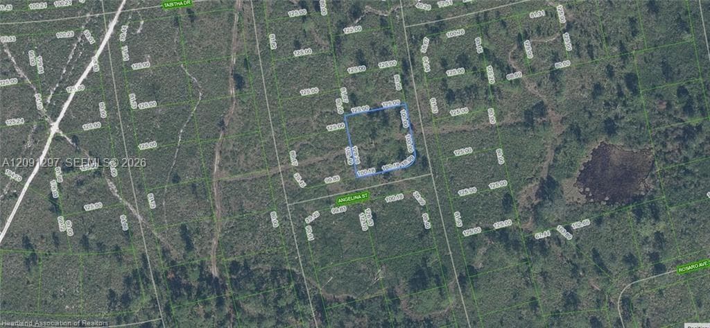 4703 San Pedro Dr, Sebring FL 33872