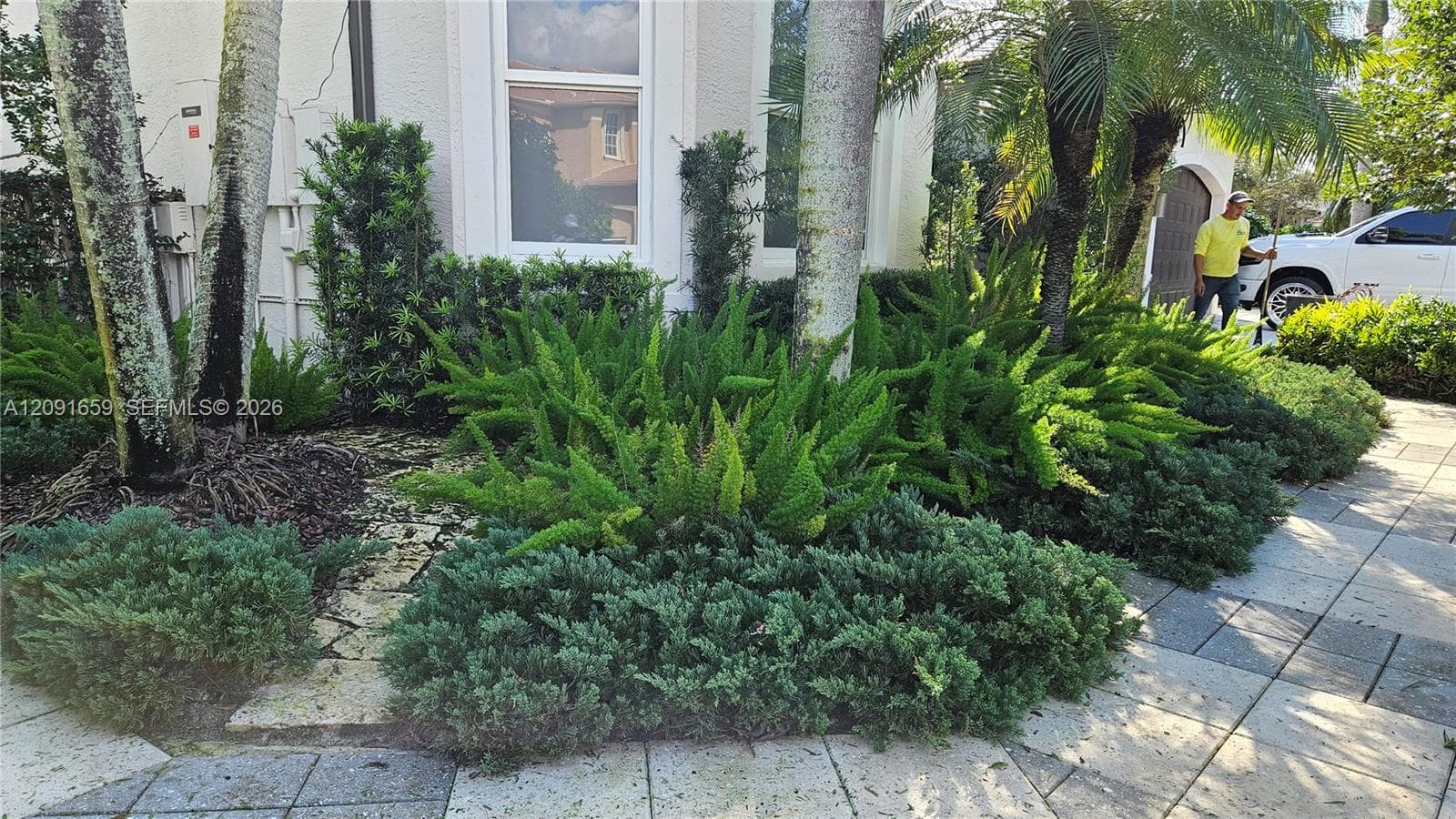 SW Bird Road, South Miami FL 33155
