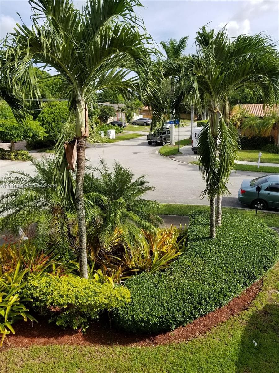 SW Bird Road, South Miami FL 33155