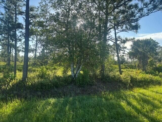 0 N Hwy 441, Okeechobee FL 34972