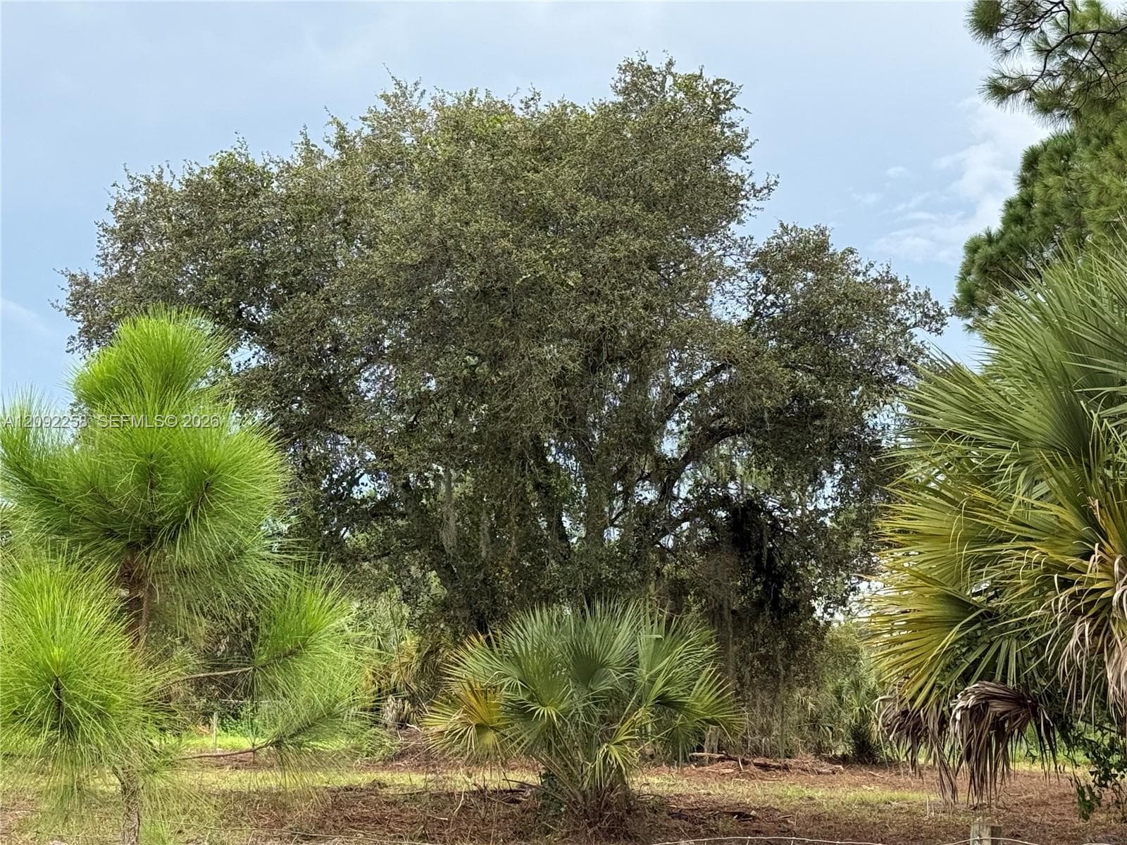 380 S LINDERO ST, Clewiston FL 33440