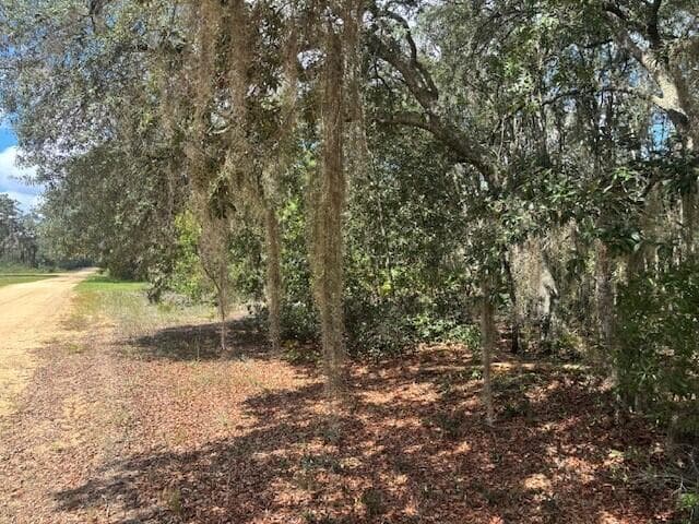 0 Hurley Street, FL 32148