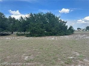 1288 Blue Heron Drive, Sebring FL 33876