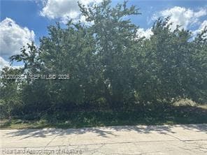 1288 Blue Heron Drive, Sebring FL 33876