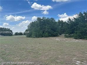 1288 Blue Heron Drive, Sebring FL 33876