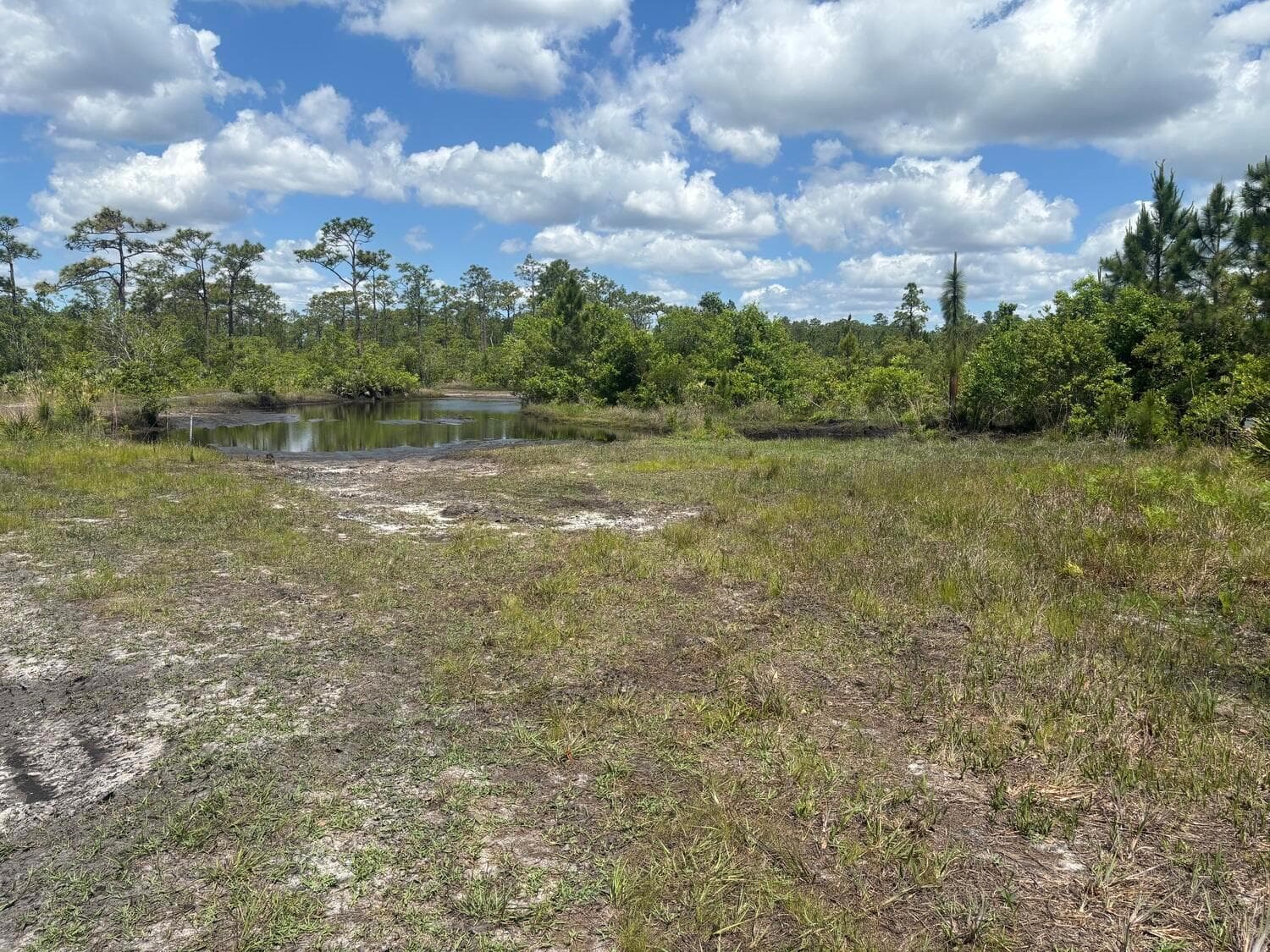 0 Holopaw Groves Road, FL 34772