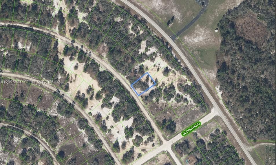 488 Morningside Drive, Lake Placid FL 33852