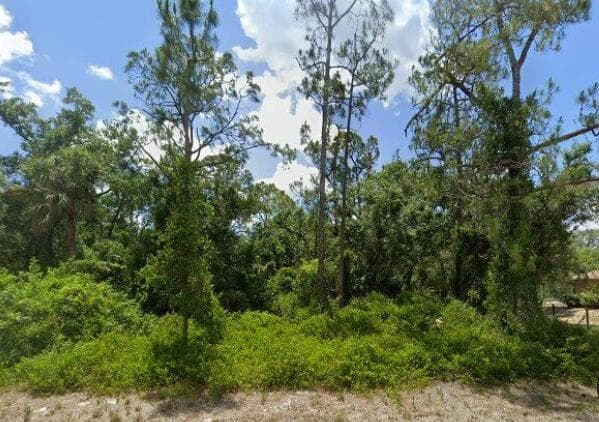2117 IRVING Avenue, FL 33920