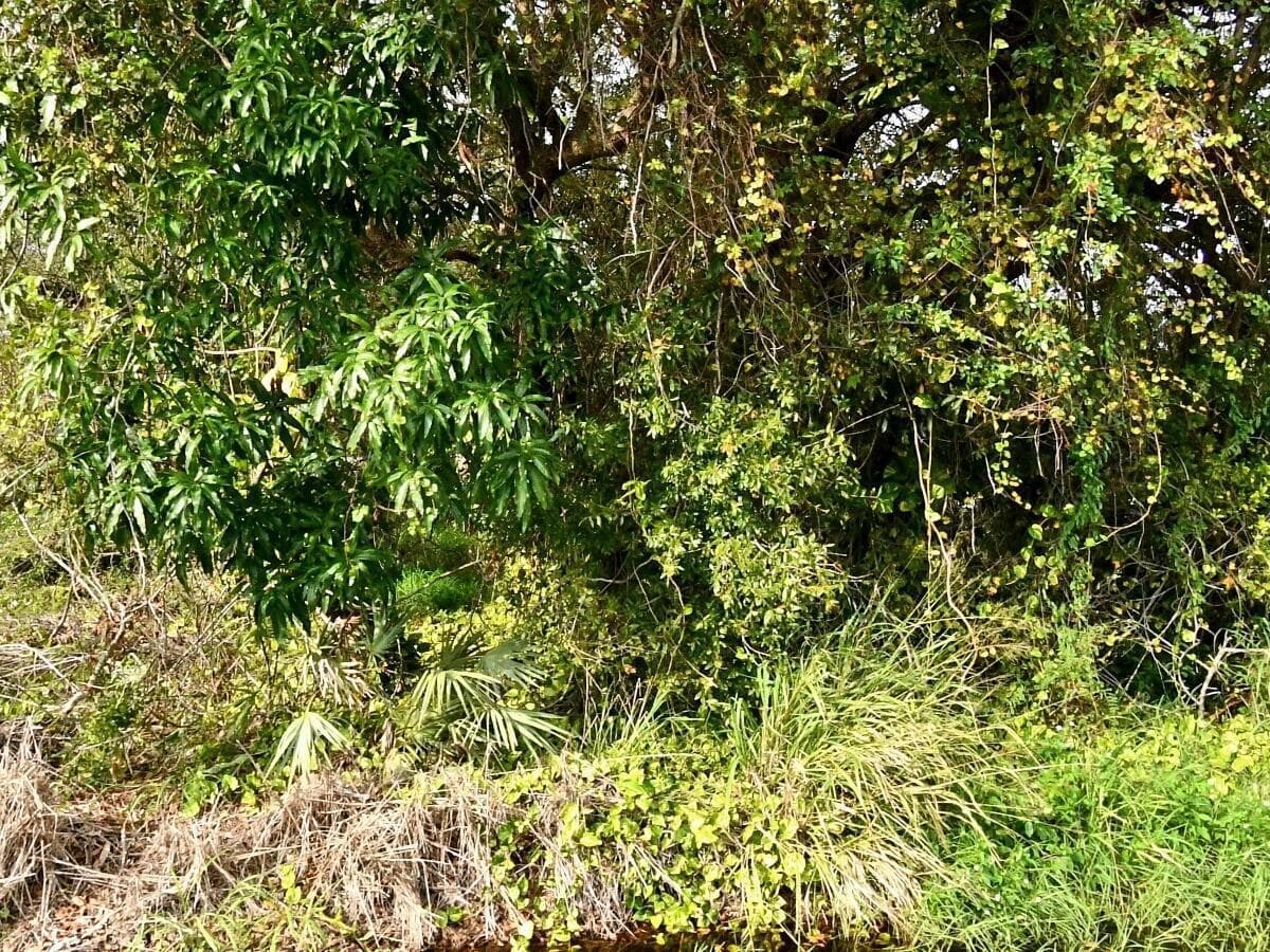 Tbd N 37th Street, Fort Pierce FL 34947