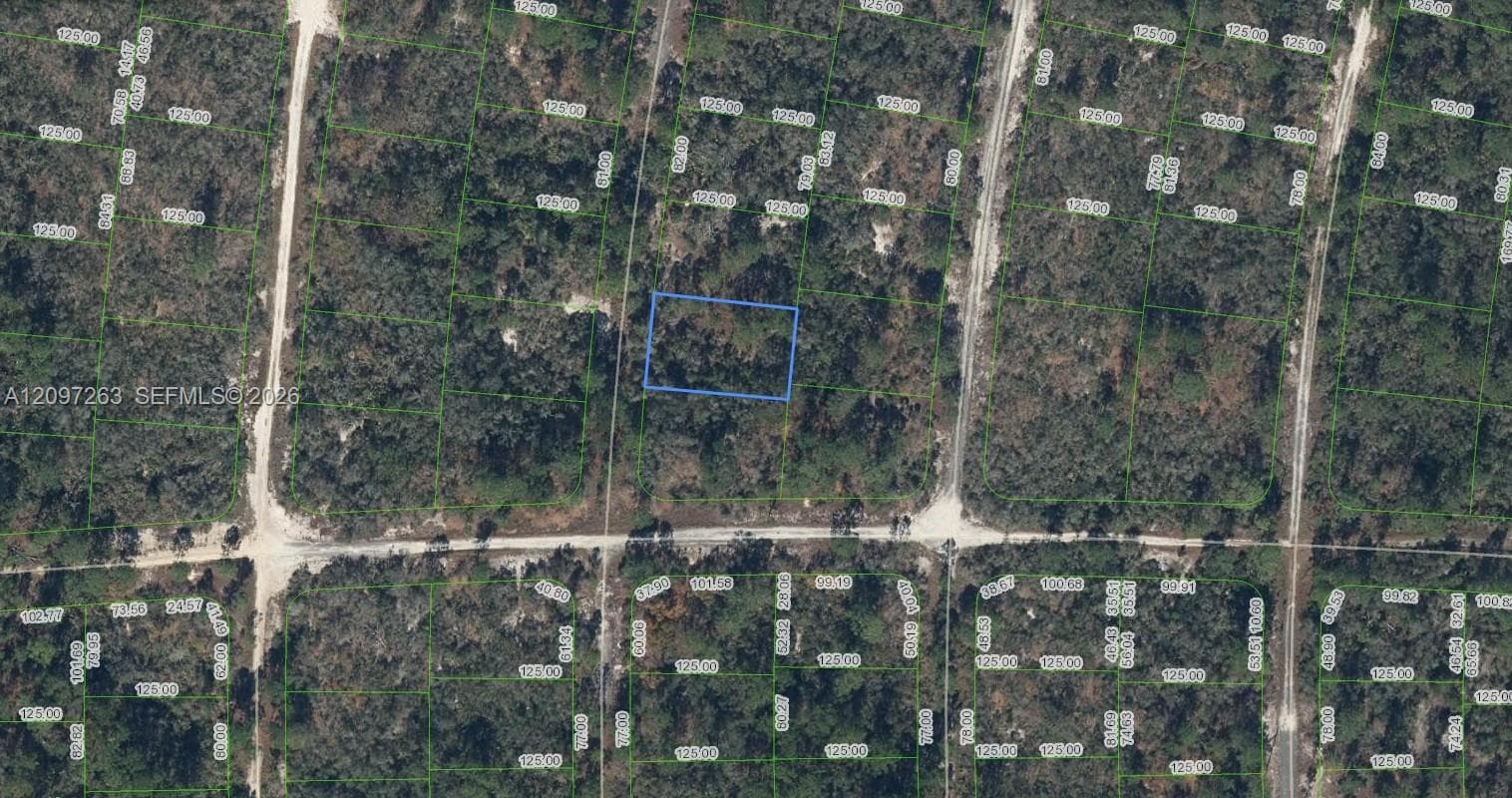 305 Blue Heaven Drive, Lake Placid FL 33852