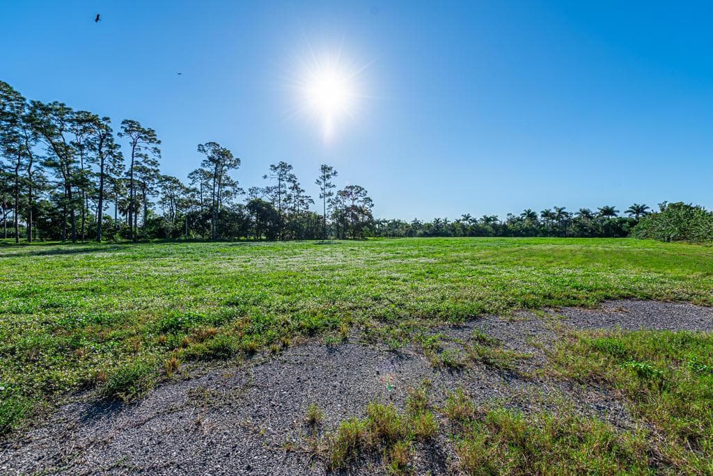 Commercial Lot
