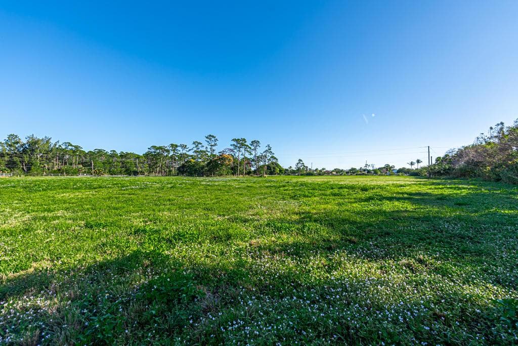 Commercial Lot