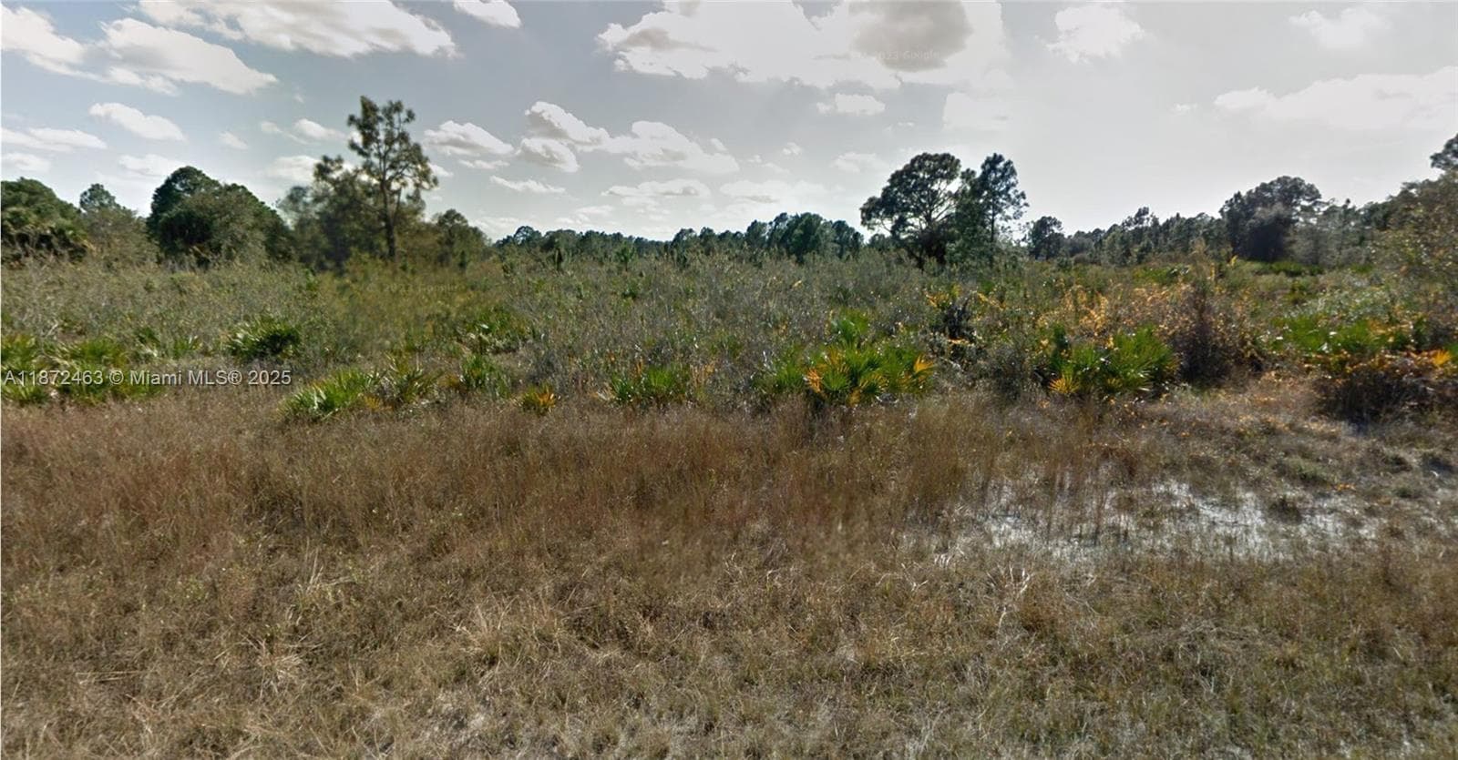 1132 Randan St E, Lehigh Acres FL 33974