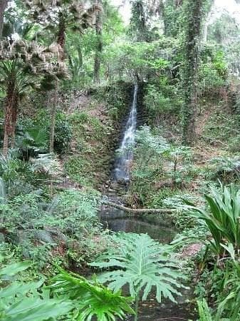 Rainbow Springs state Park
