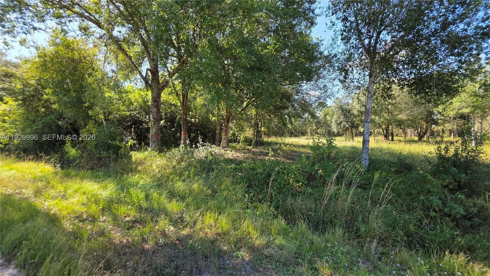 340 N Jinete ST, Clewiston FL 33440