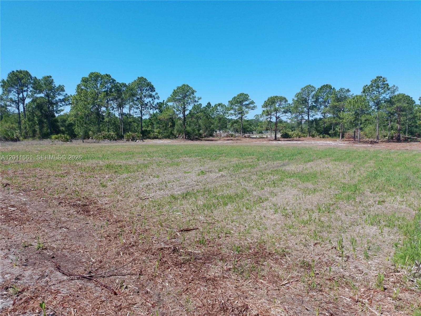 540 S Zambria ST, Clewiston FL 33440