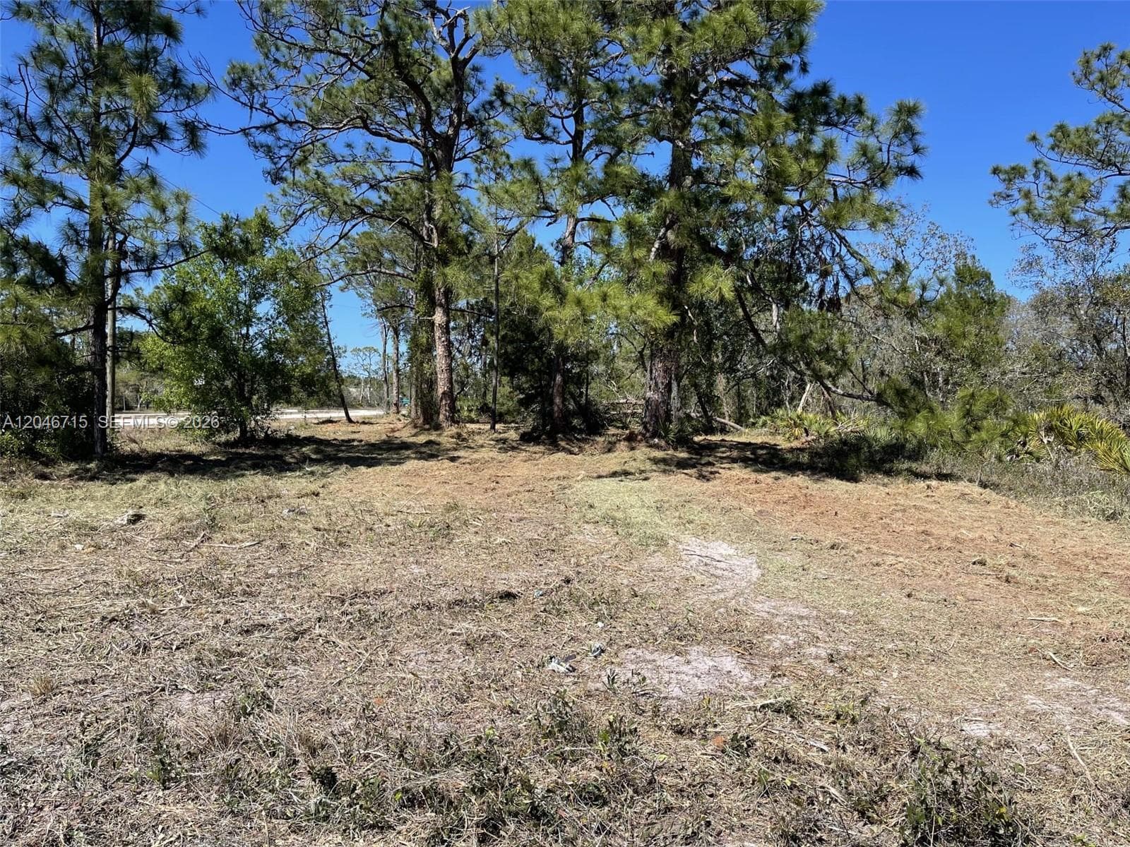 3206 SR 66, Sebring FL 33185