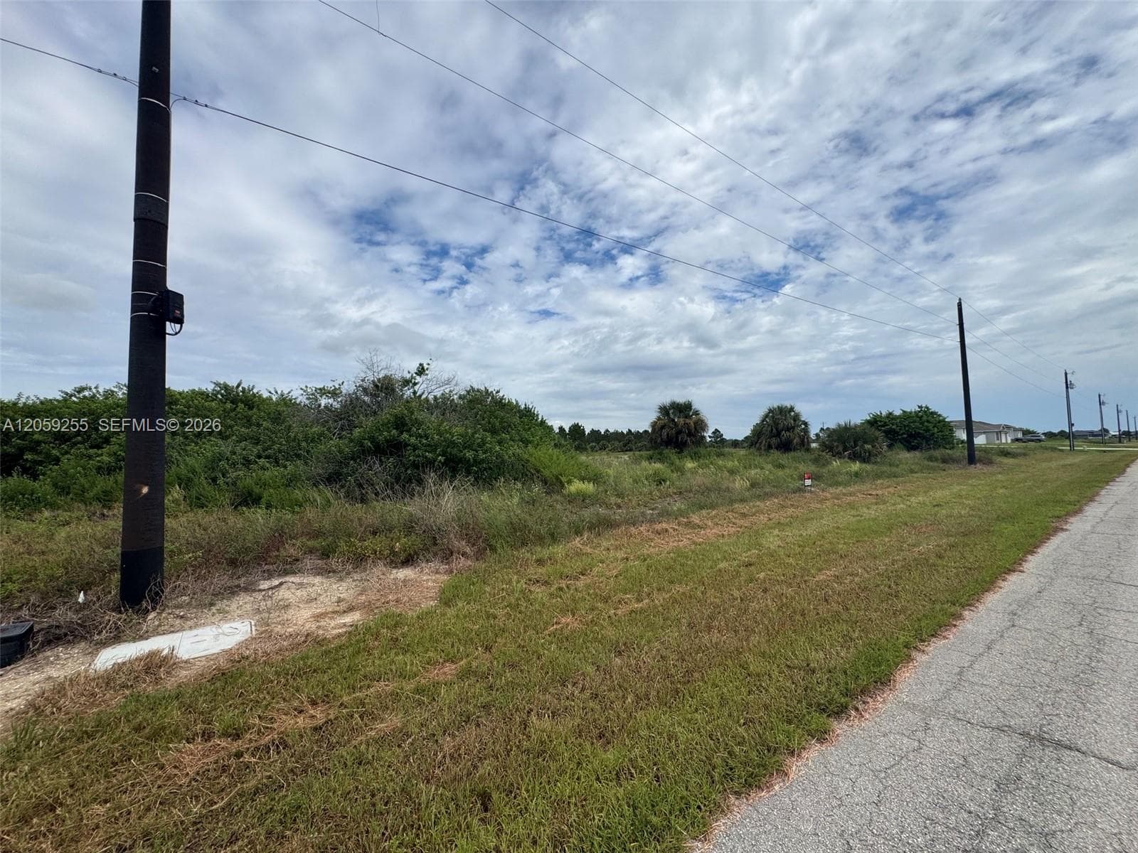 118 Bethlehem Pl, La Belle FL 33935