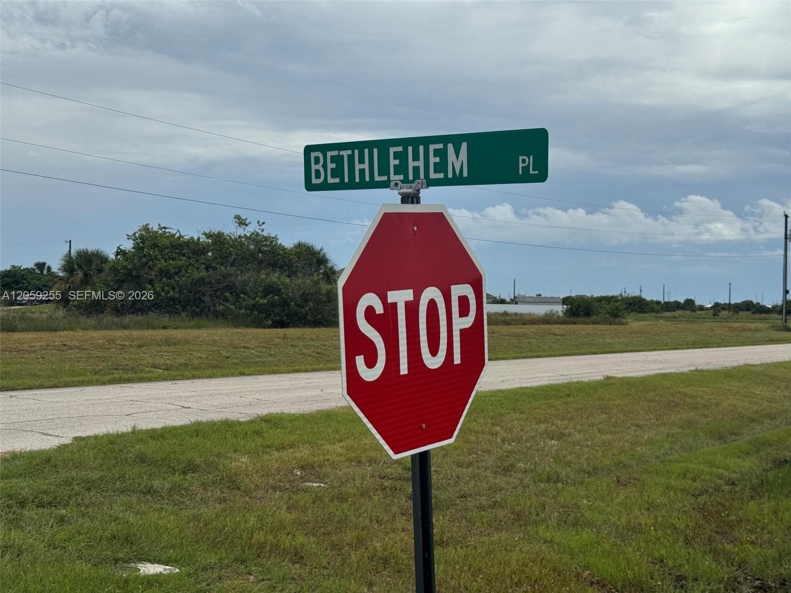 118 Bethlehem Pl, La Belle FL 33935