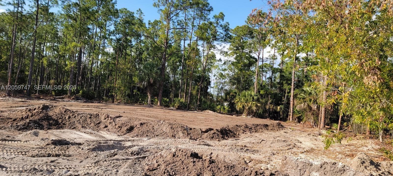 1305 E 11 St, Lehigh Acres FL 33972