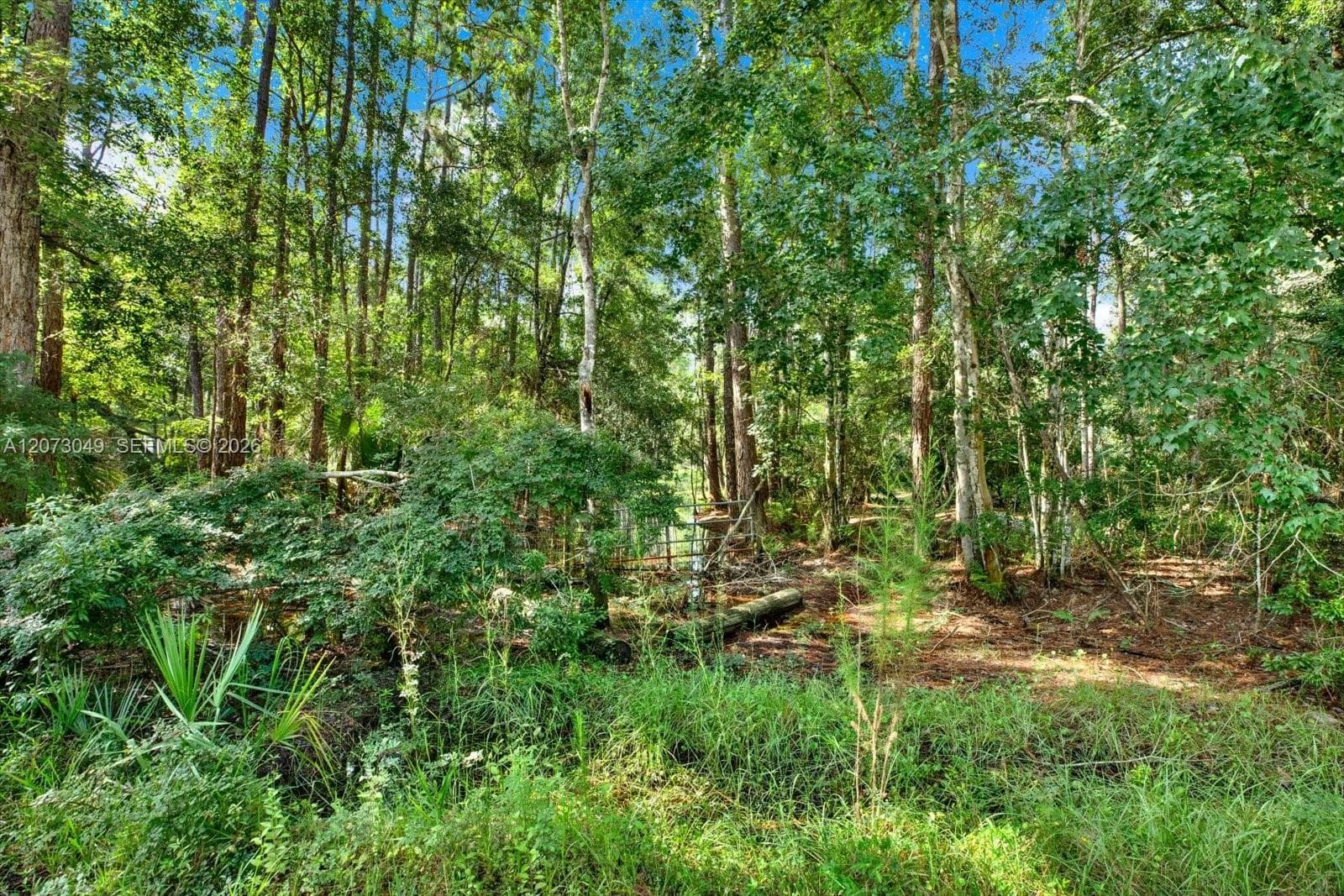 Lot 133 Green Willow Run, Other City - In The State Of Florida FL 33544