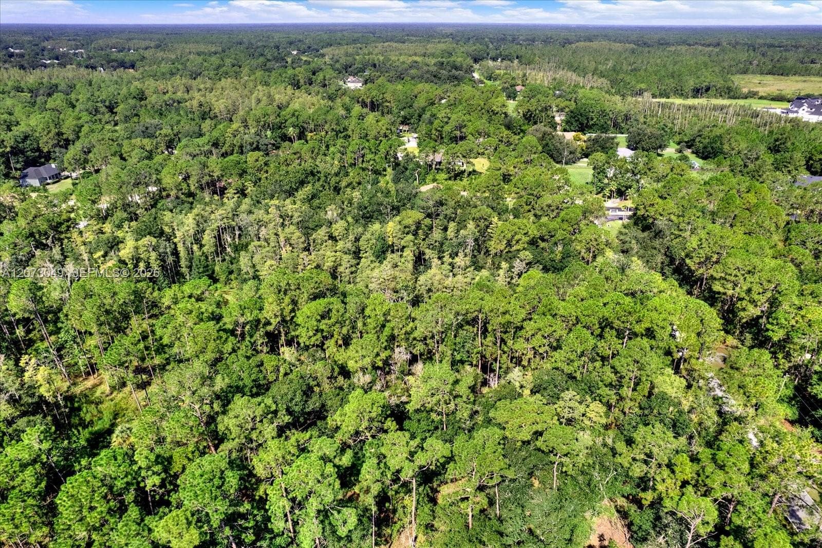 Lot 133 Green Willow Run, Other City - In The State Of Florida FL 33544