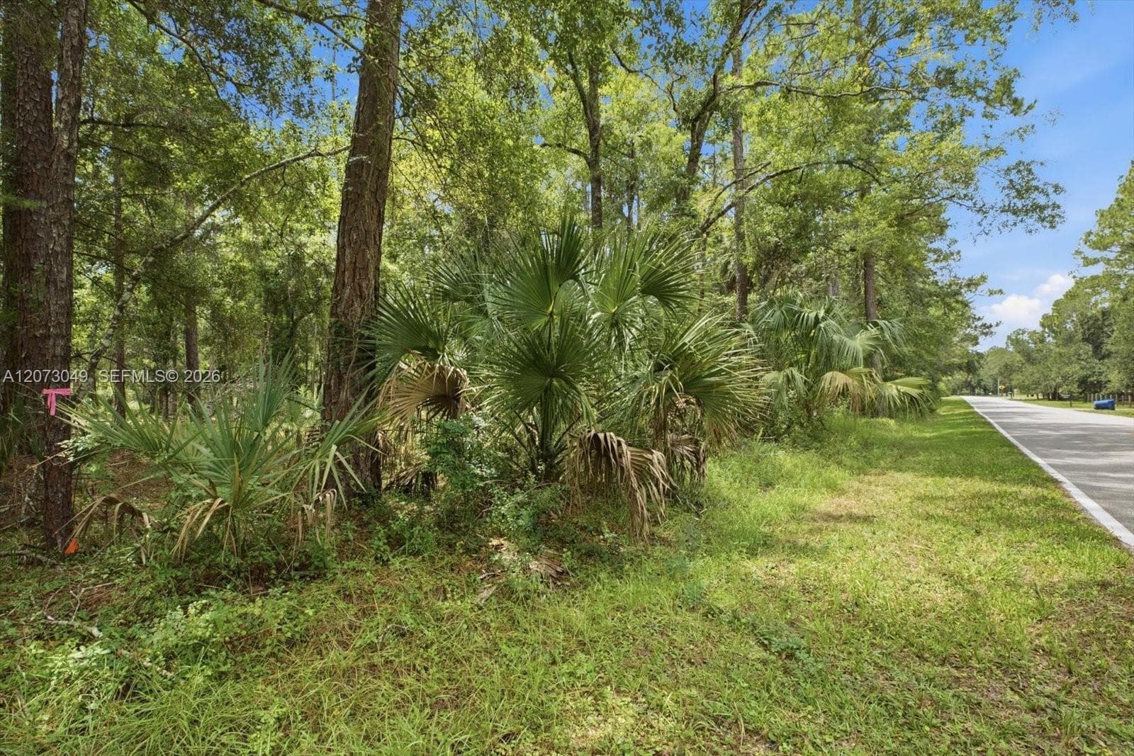 Lot 133 Green Willow Run, Other City - In The State Of Florida FL 33544