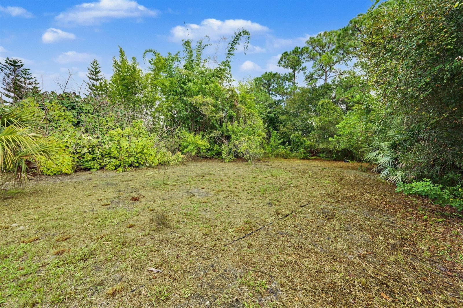 6-web-or-mls-1762 SW Cochran St - 6