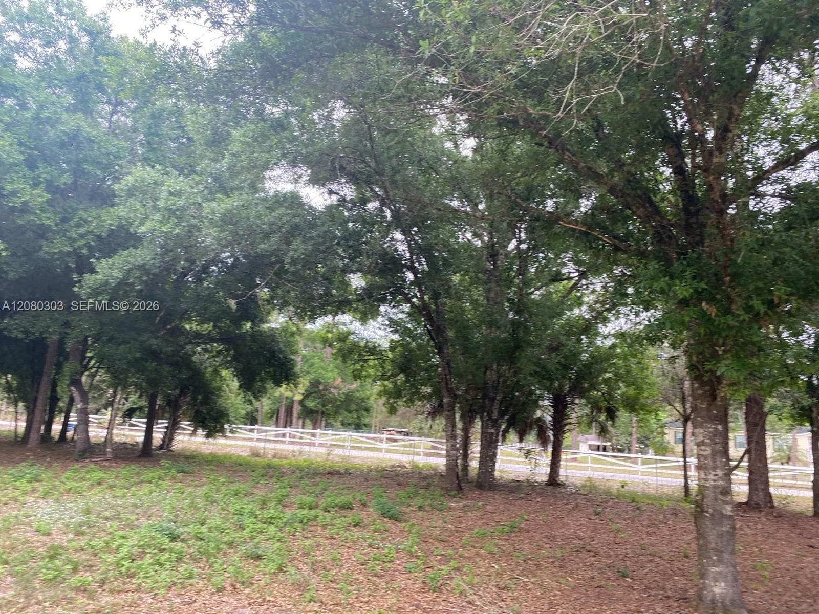 4320 Hendry Isles Blvd, Clewiston FL 33440