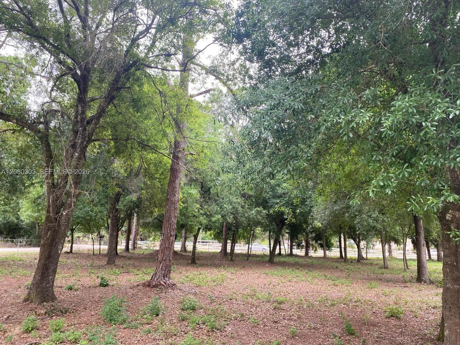 4320 Hendry Isles Blvd, Clewiston FL 33440